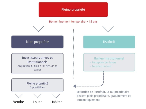 schéma sur le démembrement de propriété